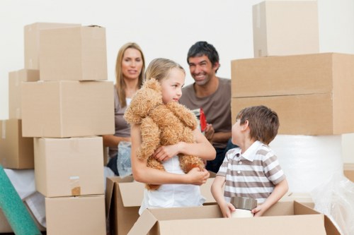 Organised home move with labelled boxes and packing supplies